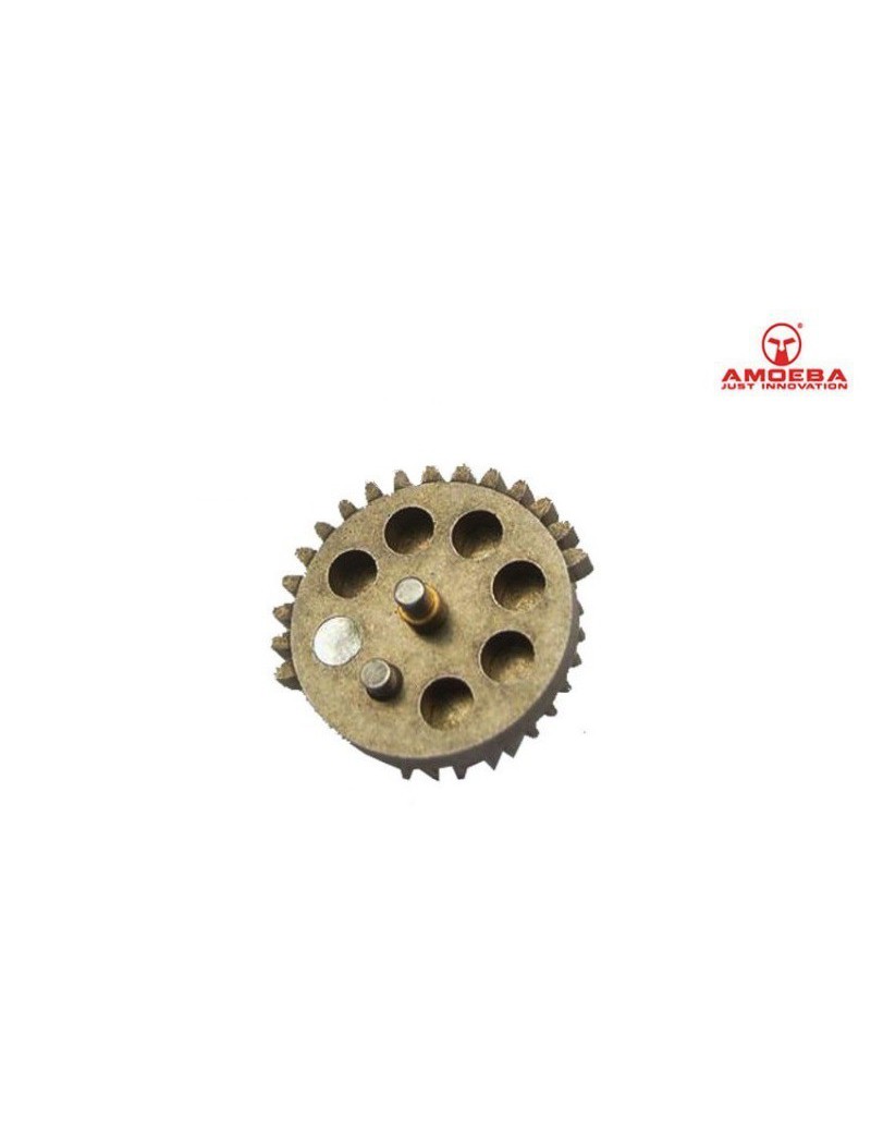 SEKTORZAHNRAD ​​MIT MAGNET X AMOEBA-STANDARDVERHÄLTNIS [AR-AMG]