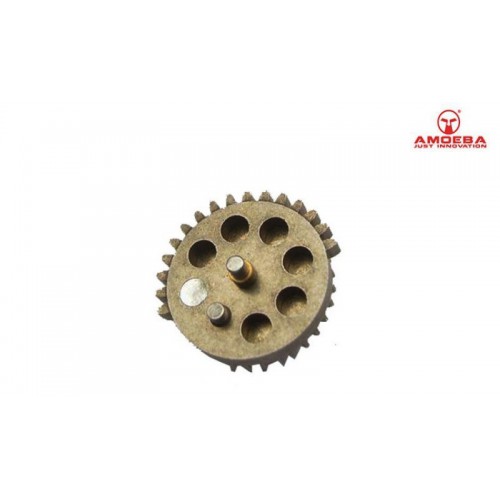 SEKTORZAHNRAD ​​MIT MAGNET X AMOEBA-STANDARDVERHÄLTNIS [AR-AMG]