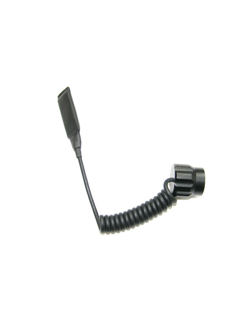 INTERRUTTORE REMOTO ROYAL PLUS PER TORCIA T10W - T8W  [TC608]