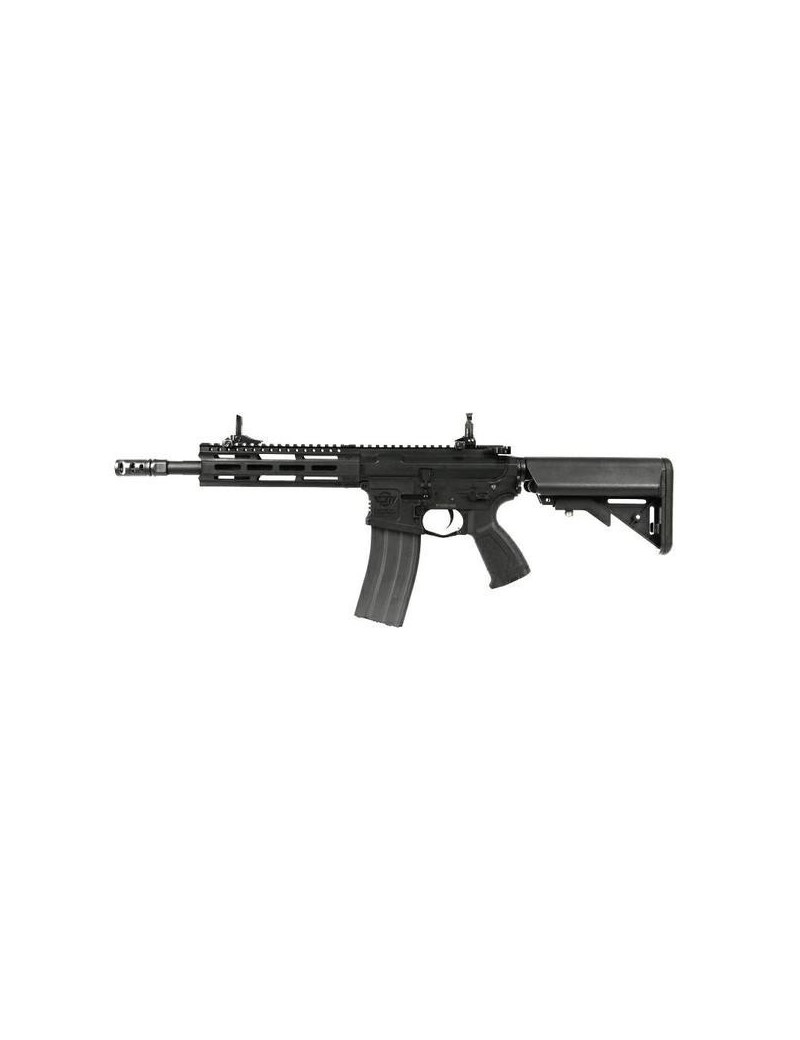 G&G ELECTRIC RIFLE CM16 RAIDER 2.0 BLACK [GG-CM16R]