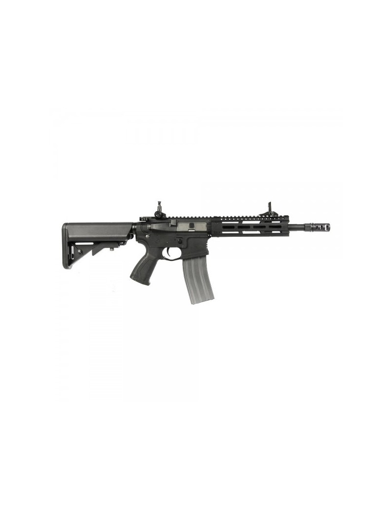 G&G ELECTRIC RIFLE CM16 RAIDER 2.0 BLACK [GG-CM16R]