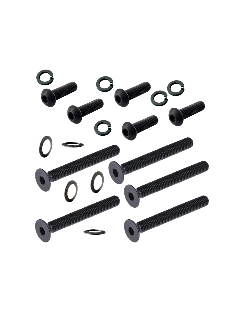 SET DI VITI IN ACCIAIO ALTA RESISTENZA PER GEARBOX V2 (SV21)