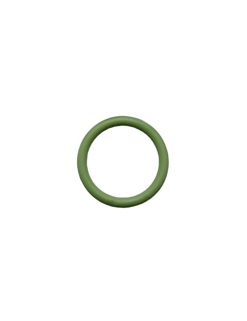 O-RING DI TENUTA PER TESTA PISTONE IN VITON (ORTP) O-RING DI TENUTA PER TESTA PISTONE IN VITON (ORTP)