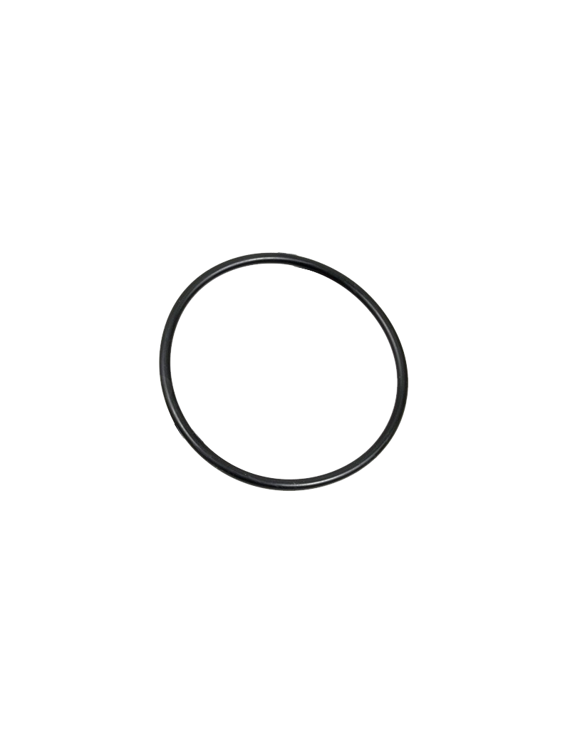 O-RING ANTI ATTRITO PER TESTA PISTONE (ORAA) O-RING ANTI ATTRITO PER TESTA PISTONE (ORAA)