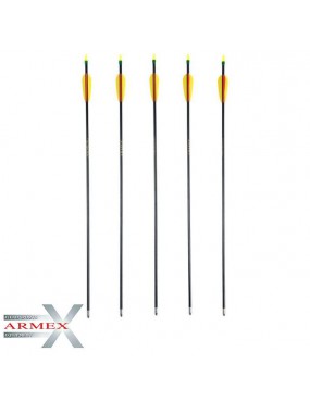 ARMEX SET 5 ARCH ARROWS IN GLASS FIBER 30 "[UM-2.2258]