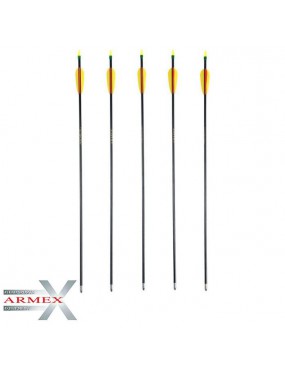 ARMEX SET 5 BOGENPFEILE IN GLASFASER 30 "[UM-2.2258]