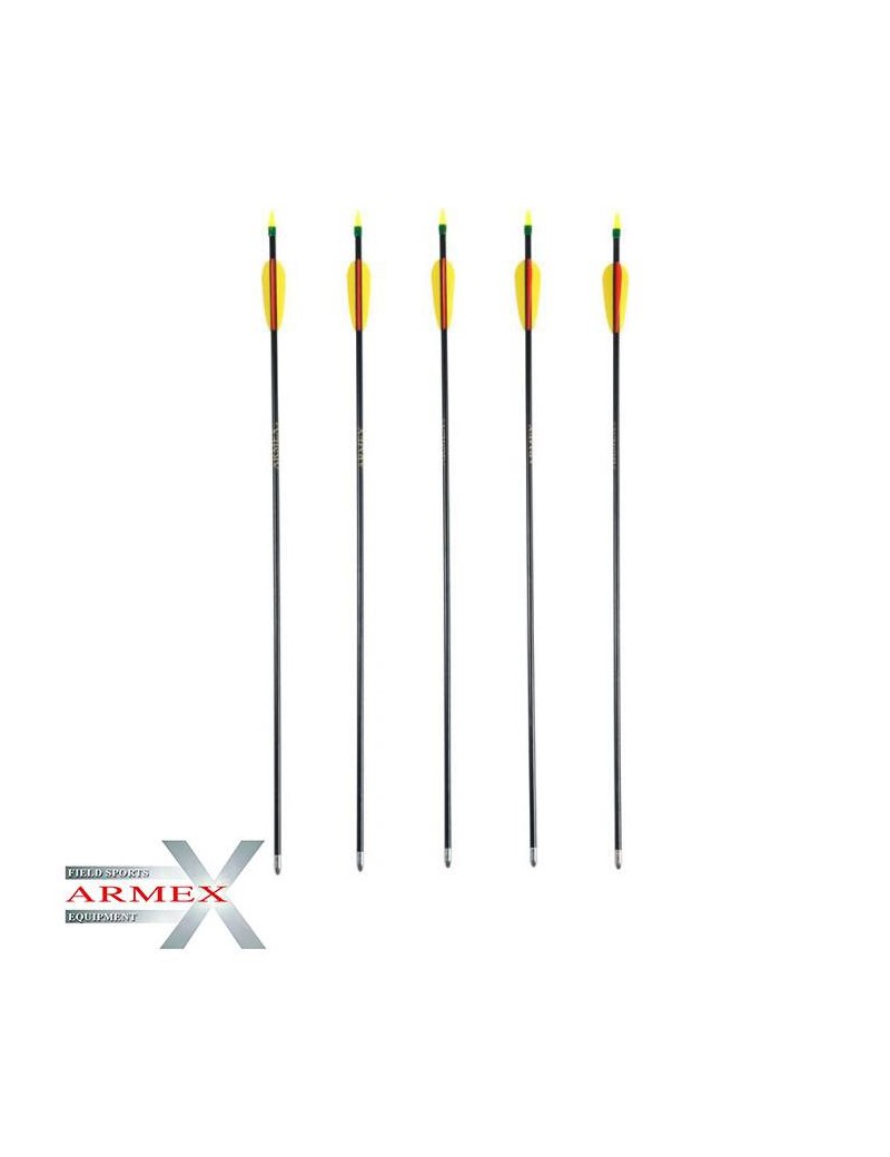 ARMEX SET 5 FLECHES ARC EN FIBRE DE VERRE 30" [UM-2.2258]