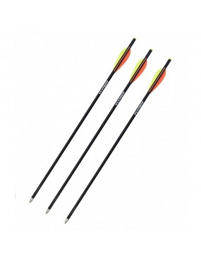 FLYTECH 16" CARBON CROSSBOW ARROW WITH SCREW-ON TIP [IIF112]