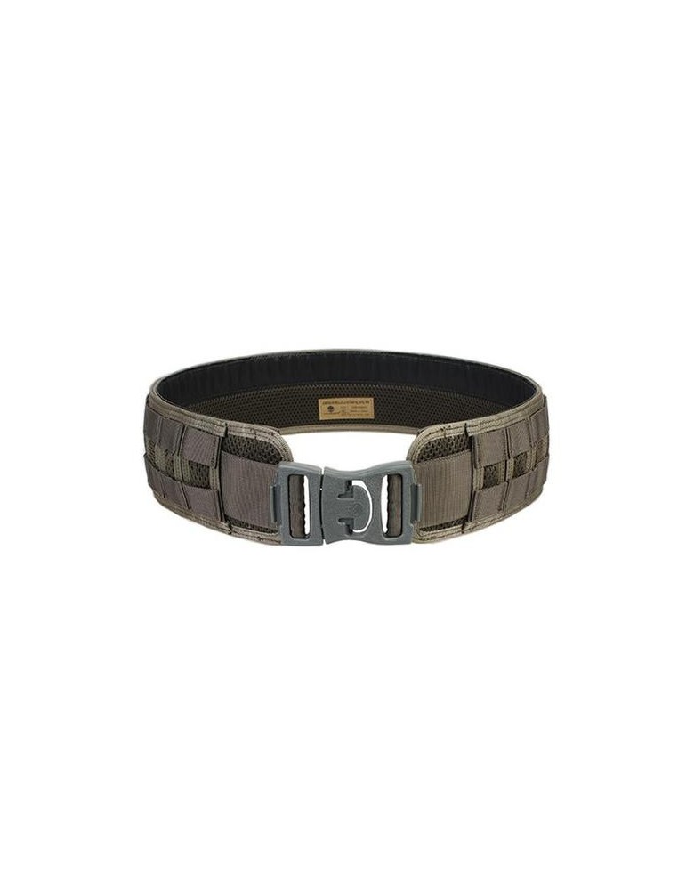 EMERSON CINTURONE MOLLE FOLIAGE GREEN [EM9241F]
