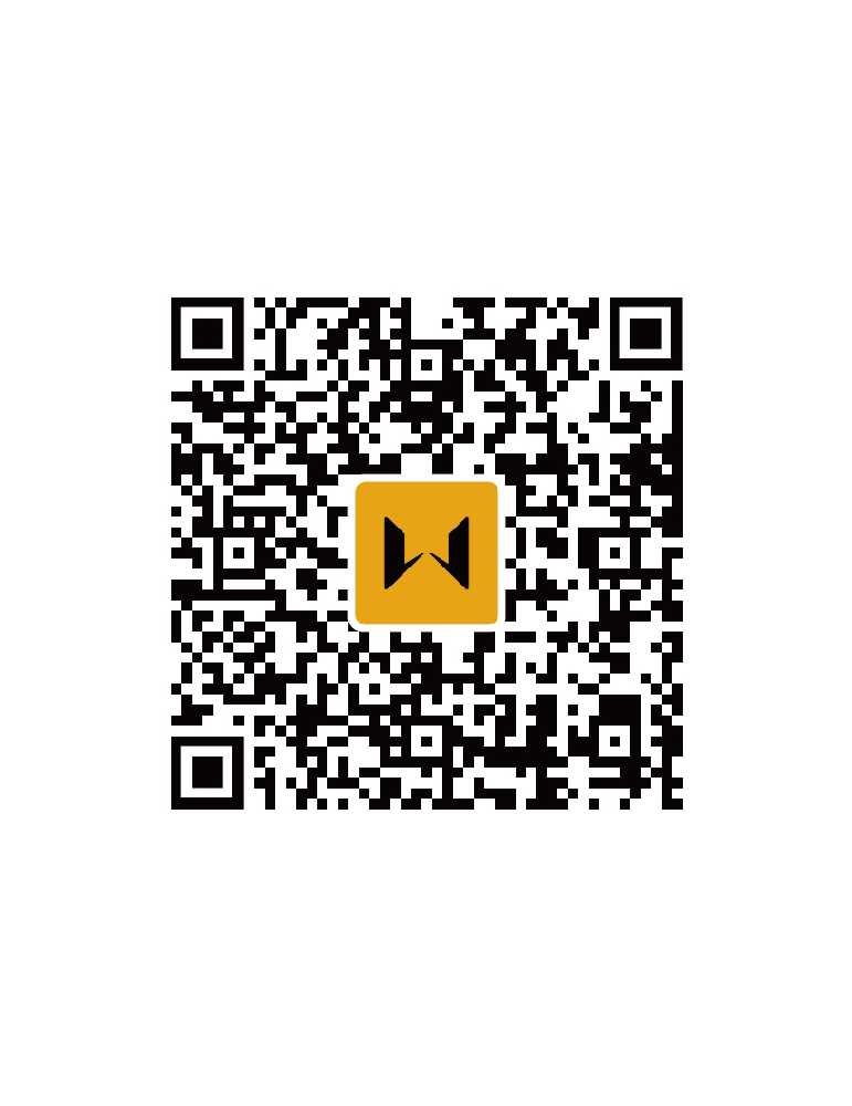 WOSPORT WST SYNCHRONIZED TRAINER-TRAINING TARGET SET [WO-TG17SET]