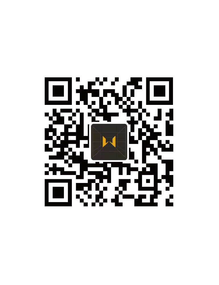 WOSPORT WST SYNCHRONIZED TRAINER-TRAINING TARGET SET [WO-TG17SET]